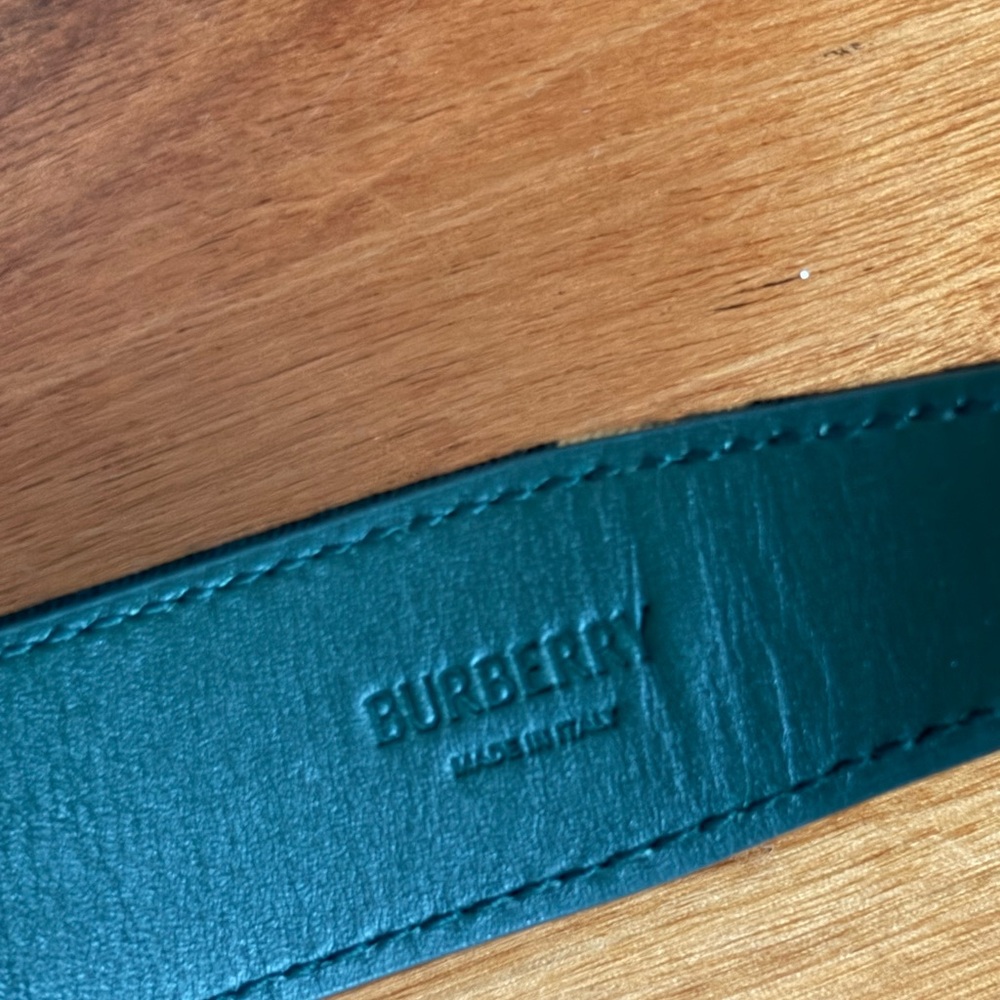 Burberry Green/Ivy Check Belt - Picture 8 of 17